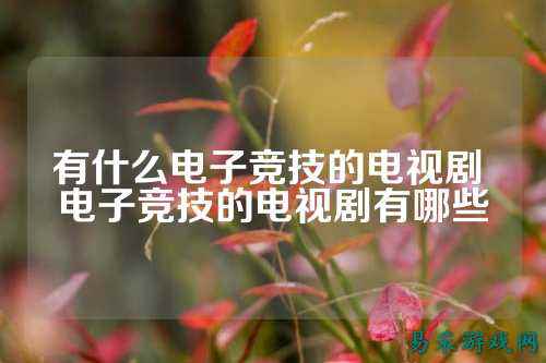 有什么电子竞技的电视剧 电子竞技的电视剧有哪些