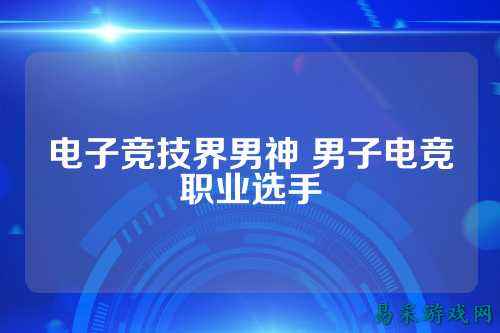 电子竞技界男神 男子电竞职业选手