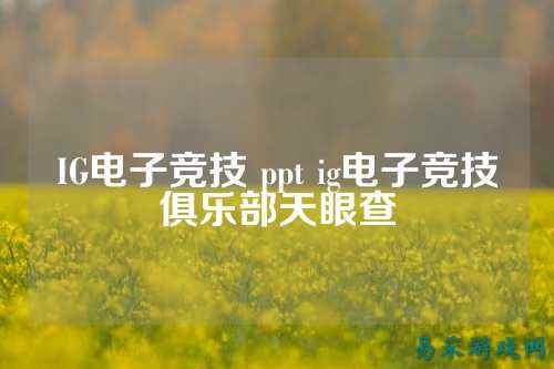 IG电子竞技 ppt ig电子竞技俱乐部天眼查