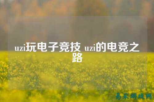 uzi玩电子竞技 uzi的电竞之路