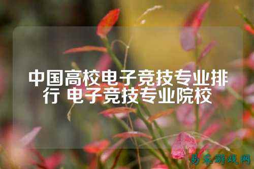 中国高校电子竞技专业排行 电子竞技专业院校