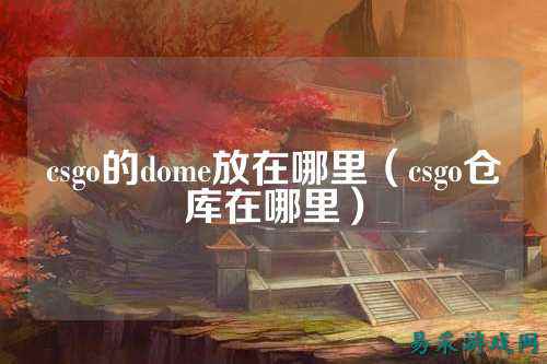 csgo的dome放在哪里（csgo仓库在哪里）