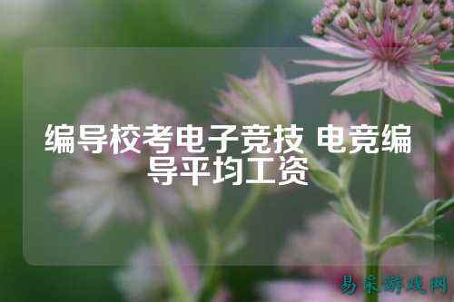 编导校考电子竞技 电竞编导平均工资