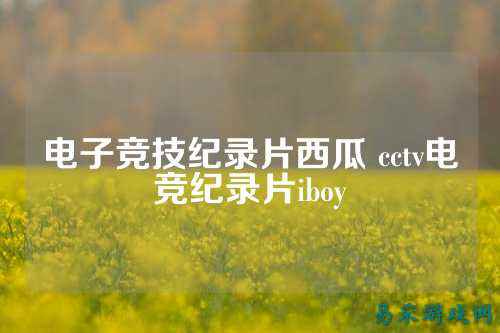 电子竞技纪录片西瓜 cctv电竞纪录片iboy