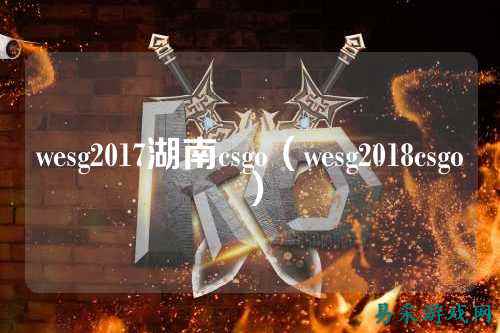 wesg2017湖南csgo（wesg2018csgo）