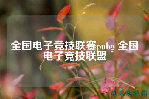 全国电子竞技联赛pubg 全国电子竞技联盟