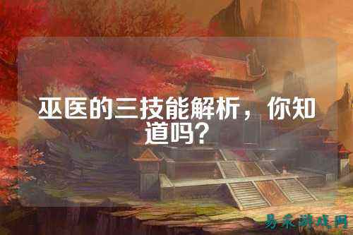 巫医的三技能解析，你知道吗？