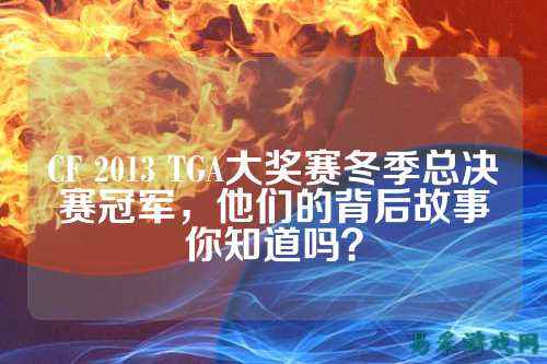 CF 2013 TGA大奖赛冬季总决赛冠军，他们的背后故事你知道吗？