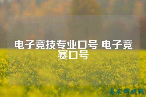 电子竞技专业口号 电子竞赛口号