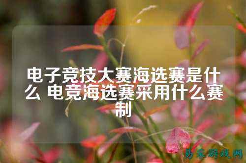 电子竞技大赛海选赛是什么 电竞海选赛采用什么赛制