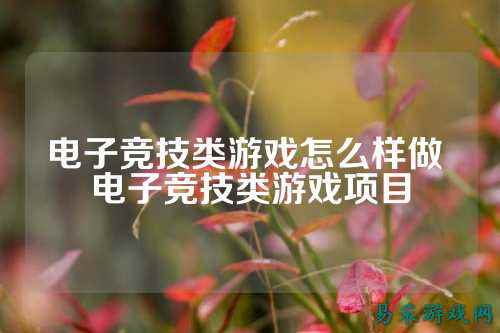 电子竞技类游戏怎么样做 电子竞技类游戏项目