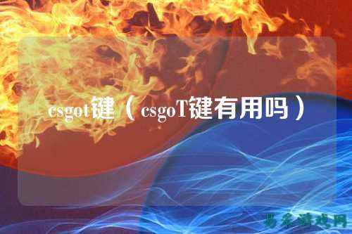 csgot键（csgoT键有用吗）