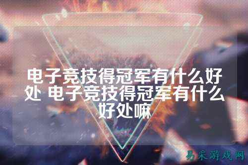 电子竞技得冠军有什么好处 电子竞技得冠军有什么好处嘛