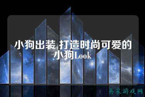 小狗出装 打造时尚可爱的小狗Look