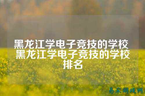 黑龙江学电子竞技的学校 黑龙江学电子竞技的学校排名
