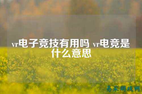 vr电子竞技有用吗 vr电竞是什么意思