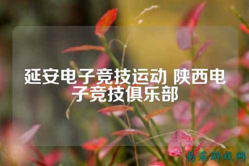 延安电子竞技运动 陕西电子竞技俱乐部