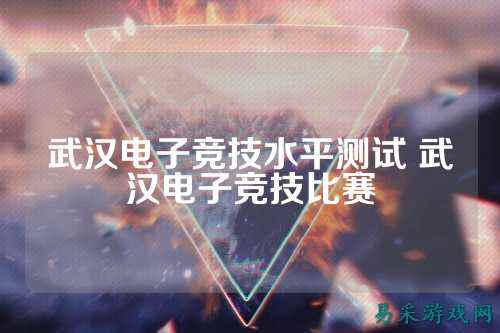 武汉电子竞技水平测试 武汉电子竞技比赛
