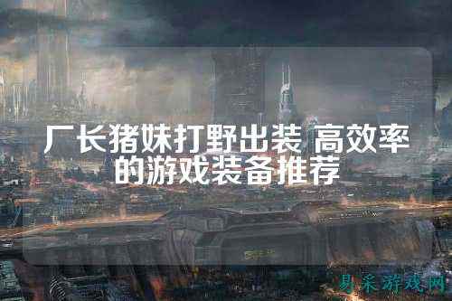 厂长猪妹打野出装 高效率的游戏装备推荐