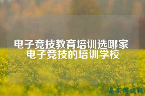 电子竞技教育培训选哪家 电子竞技的培训学校