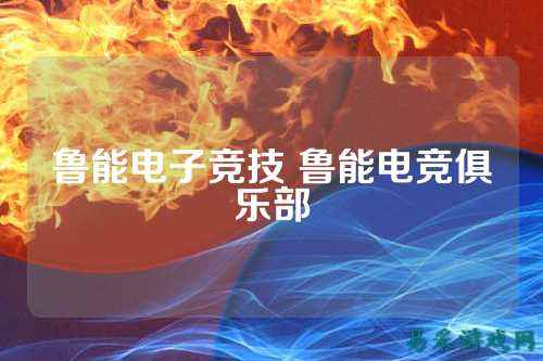 鲁能电子竞技 鲁能电竞俱乐部