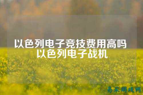 以色列电子竞技费用高吗 以色列电子战机
