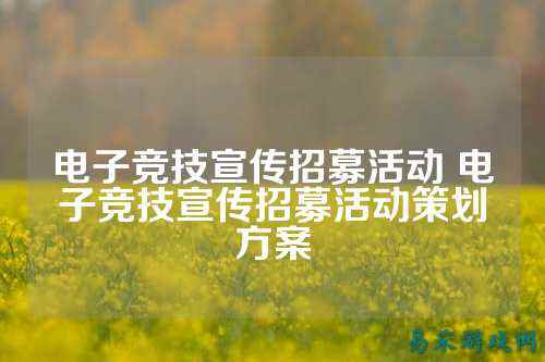 电子竞技宣传招募活动 电子竞技宣传招募活动策划方案