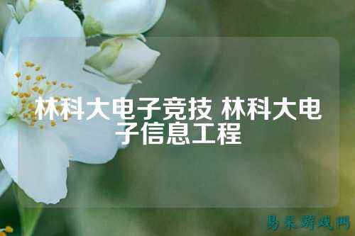 林科大电子竞技 林科大电子信息工程