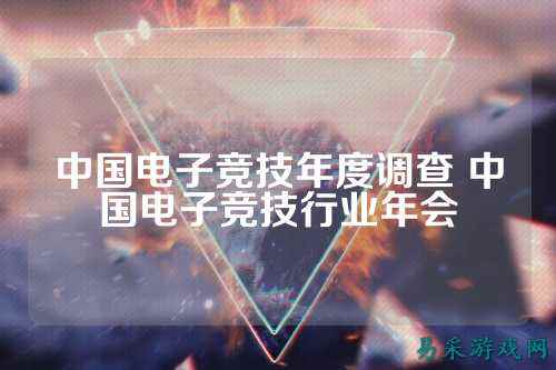 中国电子竞技年度调查 中国电子竞技行业年会