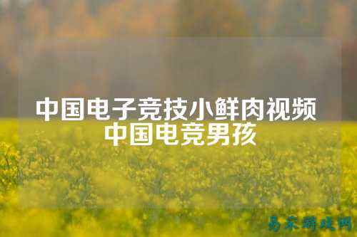 中国电子竞技小鲜肉视频 中国电竞男孩