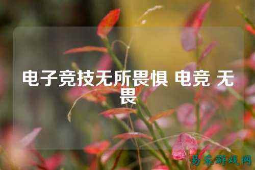 电子竞技无所畏惧 电竞 无畏