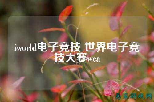 iworld电子竞技 世界电子竞技大赛wca