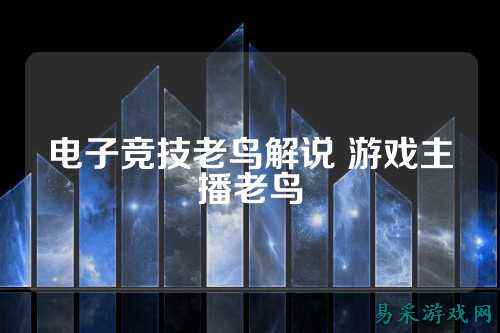 电子竞技老鸟解说 游戏主播老鸟