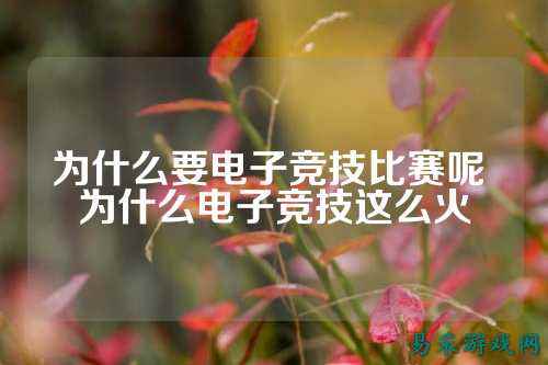 为什么要电子竞技比赛呢 为什么电子竞技这么火