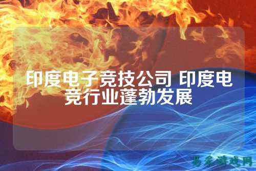 印度电子竞技公司 印度电竞行业蓬勃发展