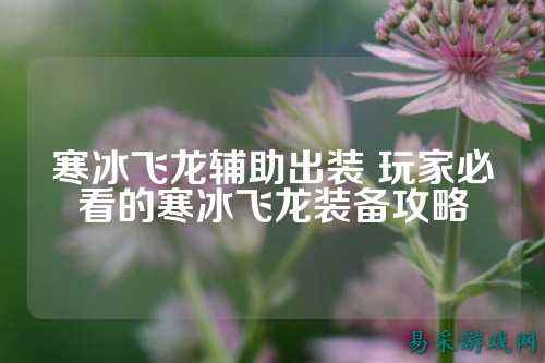 寒冰飞龙辅助出装 玩家必看的寒冰飞龙装备攻略