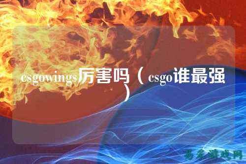 csgowings厉害吗(csgo谁最强)