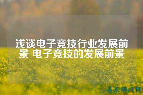 浅谈电子竞技行业发展前景 电子竞技的发展前景