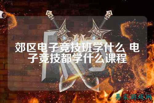 郊区电子竞技班学什么 电子竞技都学什么课程