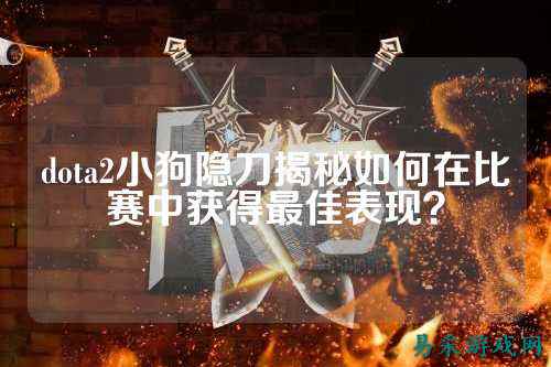 dota2小狗隐刀揭秘如何在比赛中获得最佳表现?