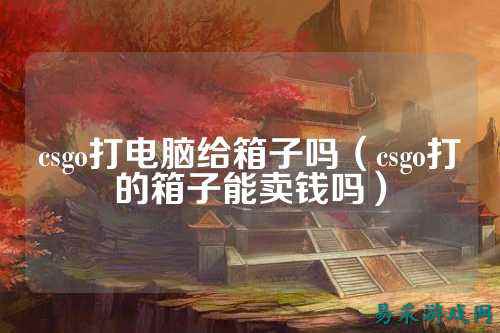 csgo打电脑给箱子吗（csgo打的箱子能卖钱吗）