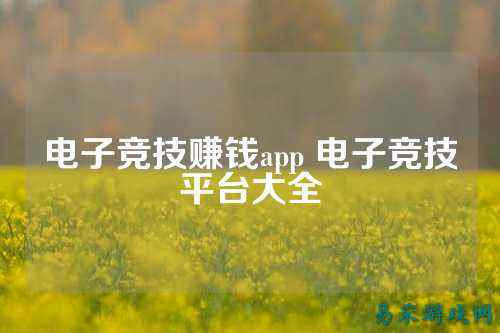 电子竞技赚钱app 电子竞技平台大全