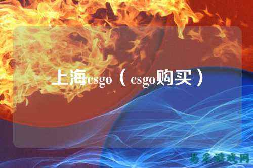 上海csgo(csgo购买)