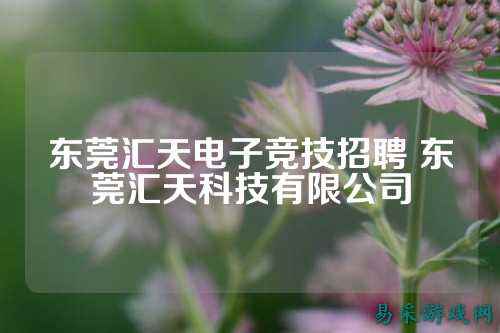 东莞汇天电子竞技招聘 东莞汇天科技有限公司