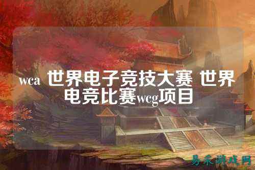 wca 世界电子竞技大赛 世界电竞比赛wcg项目
