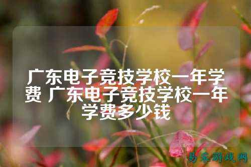 广东电子竞技学校一年学费 广东电子竞技学校一年学费多少钱