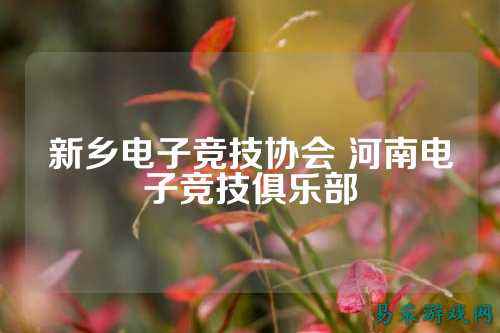 新乡电子竞技协会 河南电子竞技俱乐部