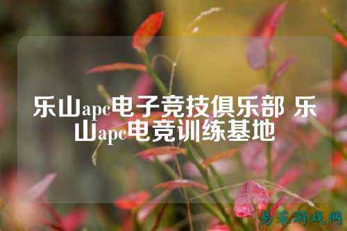 乐山apc电子竞技俱乐部 乐山apc电竞训练基地