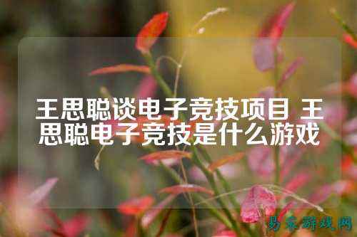 王思聪谈电子竞技项目 王思聪电子竞技是什么游戏