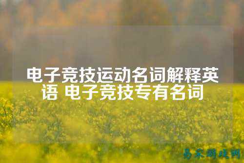 电子竞技运动名词解释英语 电子竞技专有名词